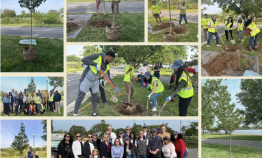 Callahan & Associates Marks 40 Years With Cherry Tree Dedication At Hains Point